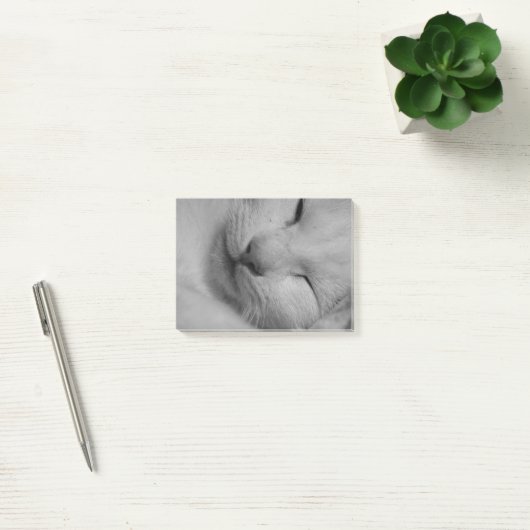 Kat Post-it® Notes (Kantoor)