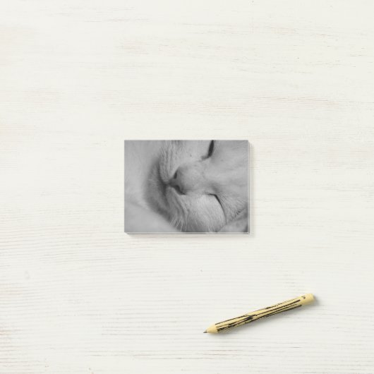 Kat Post-it® Notes (Op bureau)