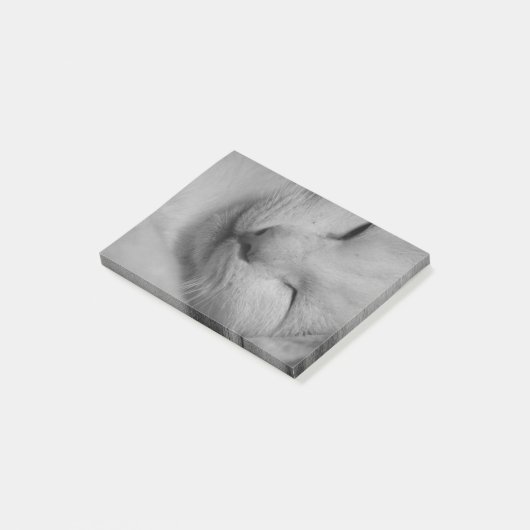 Kat Post-it® Notes (Schuin)