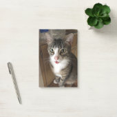 Kat Post-it® Notes (Kantoor)