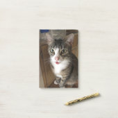 Kat Post-it® Notes (Op bureau)