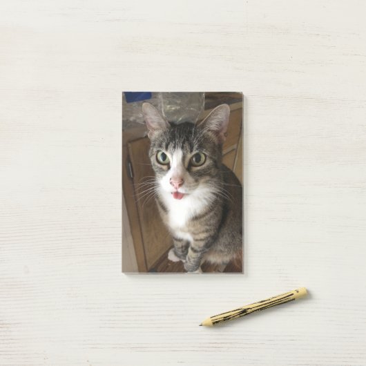 Kat Post-it® Notes (Op bureau)