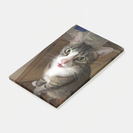 Kat Post-it® Notes (Schuin)