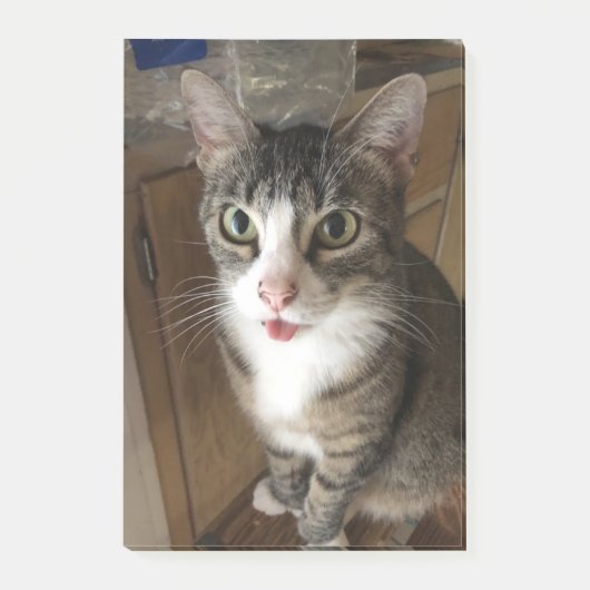 Kat Post-it® Notes (Voorkant)