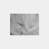 Kat Post-it® Notes (Voorkant)