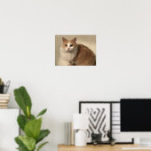 Kat Poster (Thuiskantoor)