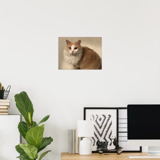 Kat Poster (Thuiskantoor)