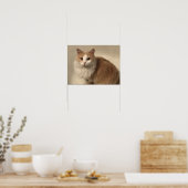 Kat Poster (Keuken)