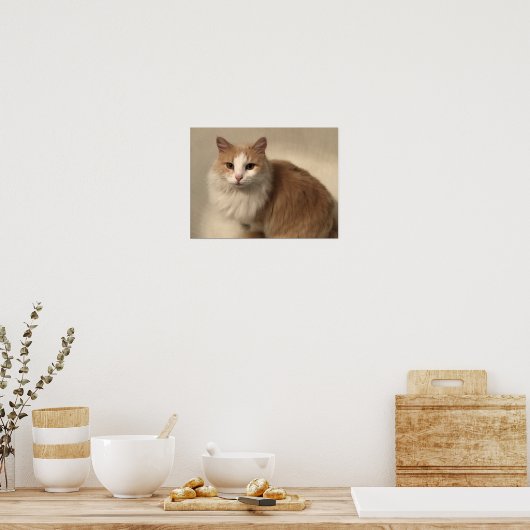 Kat Poster (Keuken)