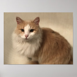 Kat Poster