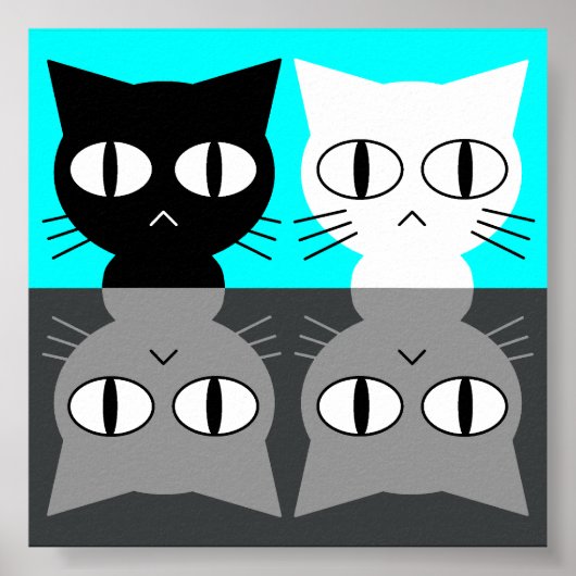 kat poster (Voorkant)