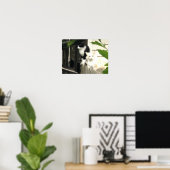 Kat Poster (Thuiskantoor)