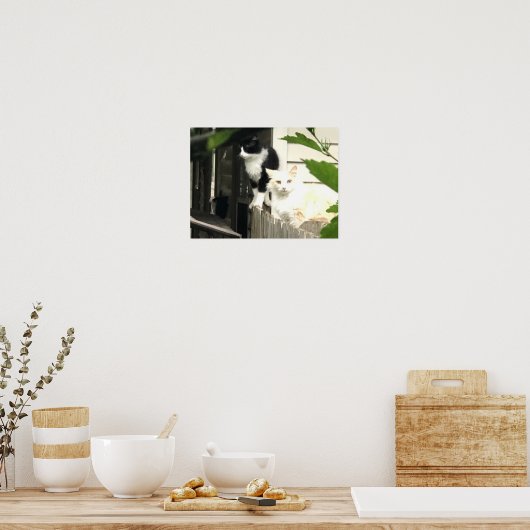 Kat Poster (Keuken)