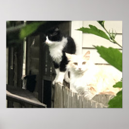 Kat Poster