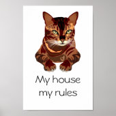 Kat Poster (Voorkant)