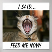 Kat Poster (Voorkant)