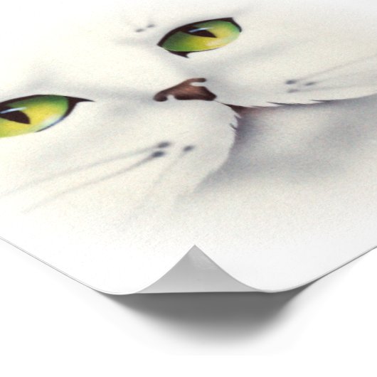 kat poster (Hoek)