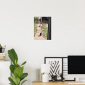 Kat Poster (Thuiskantoor)