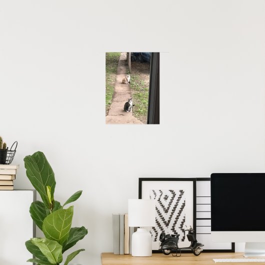 Kat Poster (Thuiskantoor)