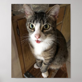 Kat Poster