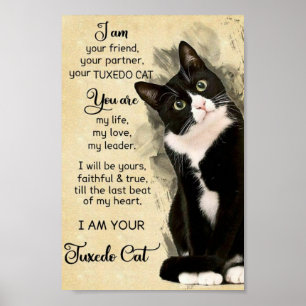 Kat Poster