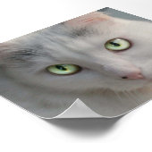 Kat Poster (Hoek)