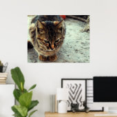 Kat Poster (Thuiskantoor)