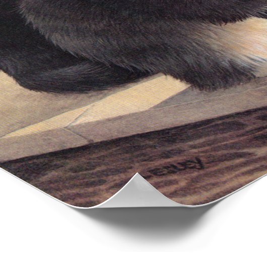 Kat posters voor schilderen (Hoek)