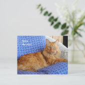 Kat-postkaart testen briefkaart (Staand voorkant)