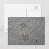 Kat Prints Briefkaart (Voorkant / Achterkant)