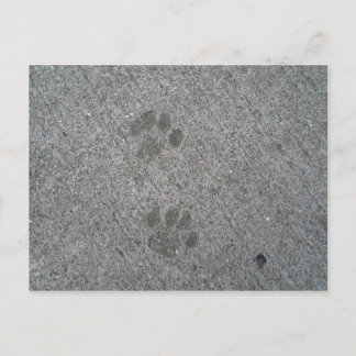 Kat Prints Briefkaart