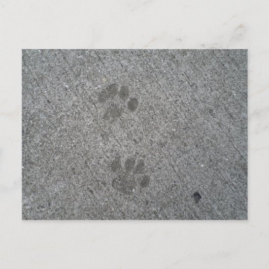 Kat Prints Briefkaart (Voorkant)