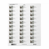 Kat profiel | ABSTRACT | WATERVERF Etiket (Full Sheet)