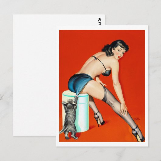 Kat pulp omhoog briefkaart (Voorkant / Achterkant)