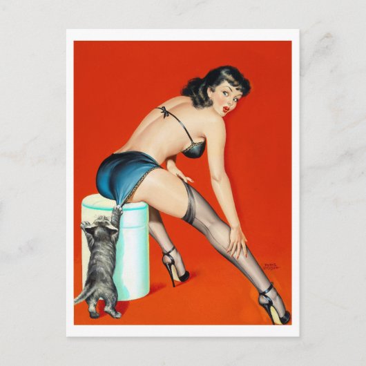 Kat pulp omhoog briefkaart (Voorkant)