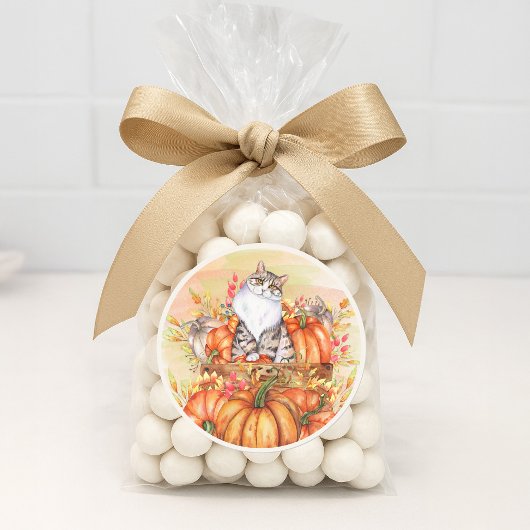 Kat Pumpkins Herfst Autumn Oranje White Ronde Sticker