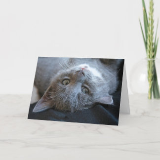 Kat Purrday Kaart