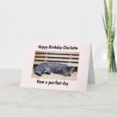 Kat PurrfecDay Birthday Card Kaart (Voorkant)