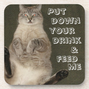 Kat "PUT DOWN DRINK & FEED ME" Onderzetters - set