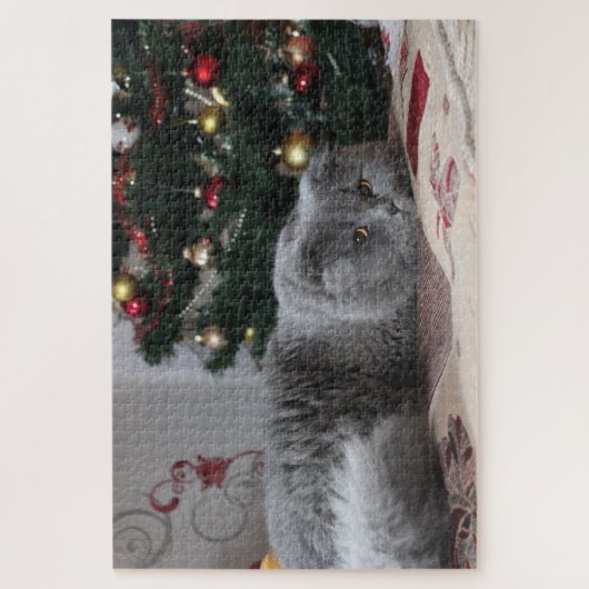 kat puzzel legpuzzel (Verticaal)