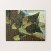 Kat Puzzle Legpuzzel (Horizontaal)