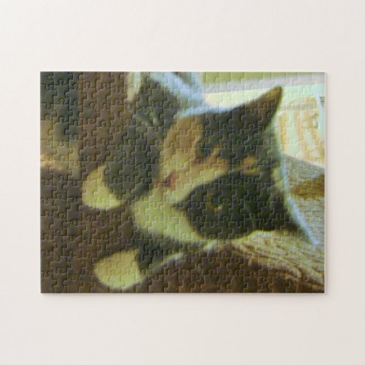 Kat Puzzle Legpuzzel (Horizontaal)