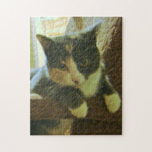 Kat Puzzle Legpuzzel (Verticaal)