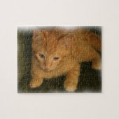 Kat Puzzle Legpuzzel (Horizontaal)