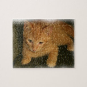 Kat Puzzle Legpuzzel