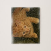 Kat Puzzle Legpuzzel (Verticaal)