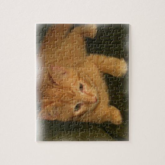 Kat Puzzle Legpuzzel (Verticaal)