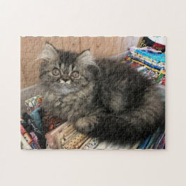 Kat Quilter Tabletop uitdagend Jigzaag Puzzle Legpuzzel