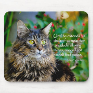 Kat Quote Inspirerend Muismat