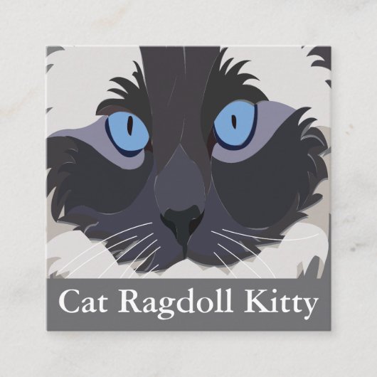 Kat Ragdoll Blauwe Ogen Vierkante Visitekaartje (Voorkant)